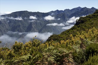 View of the mountains of the Parque Natural da Madeira