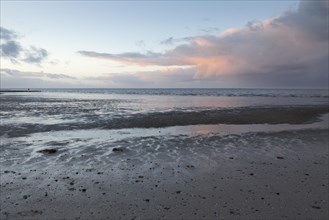 Evening atmosphere in the Lower Saxon Wadden Sea National Park