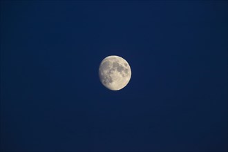 Waxing moon in the sky