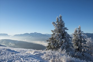 Wintry view from the Gaisberg of the Salzach Valley and the Hohen Goll