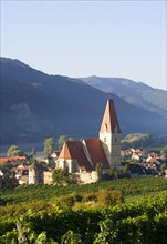 Vineyards and a fortified church on the Danube