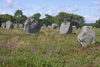 Carnac stones