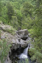 Waterfall on the Estero Armenilo brook