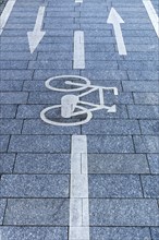 Marked cycle path