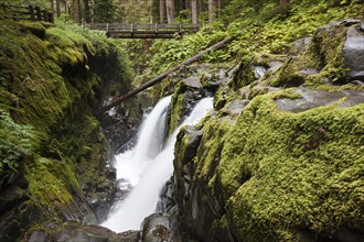 Sol Duc Falls in the Sol Duc River Valley