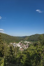 View from Mt Weissenstein