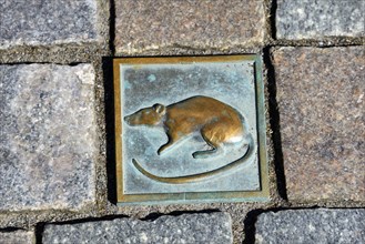 Paving stone rat