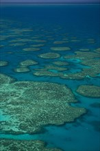 Aerial view of the Great Barrier Reef