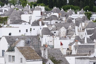 Traditional trulli round houses