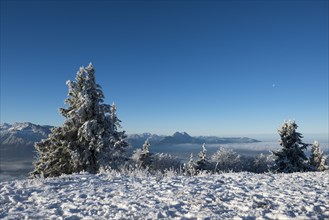 Wintry view from the Gaisberg on the Hochstaufen