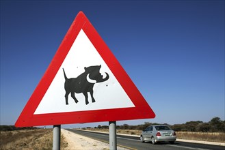 Road sign warning of warthogs
