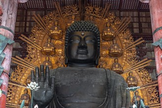 Big Buddha Statue in Todaiji Temple
