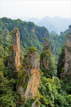 Tianzishan mountain with vertical rock columns of quartz sandstone