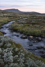 Mountain stream in the fjell landscape in autumn