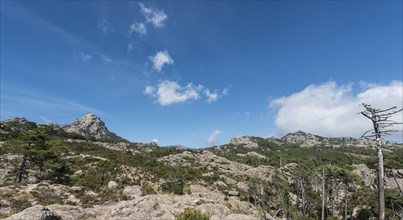 Mountain landscape