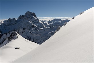 Snow-covered peak of Widderstein