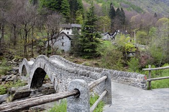 Ponte dei Salti