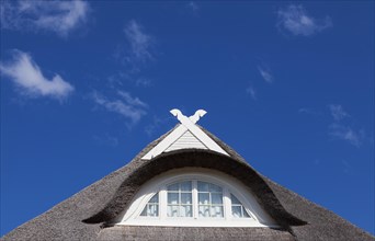 Detail view of a thatched roof with dormer and Lower Saxony horses of a new building against a blue sky