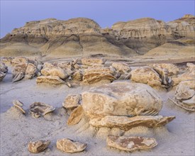Rock formations in the Bisti Wilderness