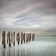 Old jetty posts on the beach at St Clair