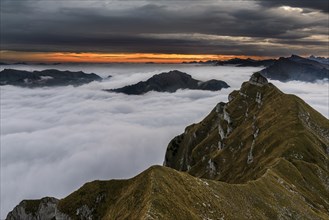Summit of the Kanisfluh with cloud cover below