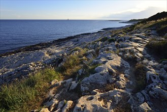 Coast in the evening light