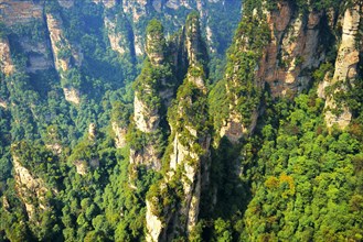 Avatar Mountains with vertical quartz-sandstone pillars