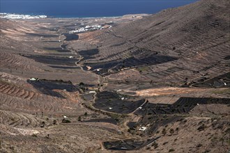 View from the Mirador de Haria into the Valle de Temisa