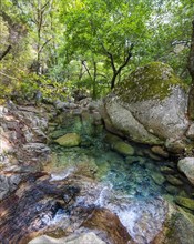 Upper course of the river Solenzara