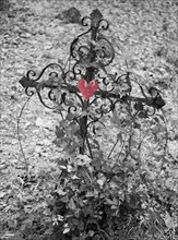 Iron cross with red heart