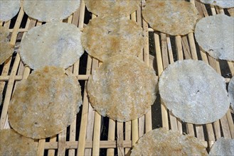 Rice cakes drying on a bamboo frame