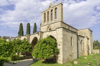 Monastery ruin