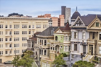 Old houses in Alamo Square