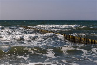 Groynes at moderate swell on the beach of Ahrenshoop