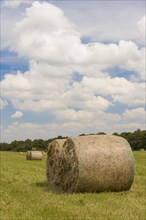 Round straw bales in a meadow
