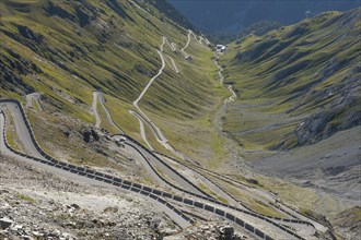 Road to Stelvio Pass