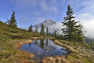 Mountain landscape in the spring