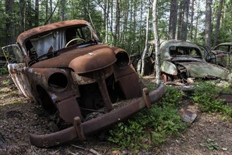 Junkyard in the forest