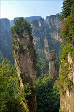 Avatar' mountains with vertical quartz sandstone rocks