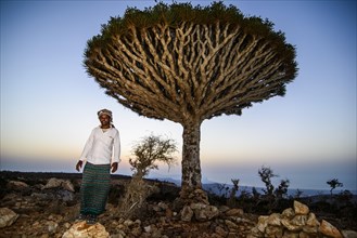 Yemenite man standing in front of a Socotra Dragon Tree or Dragon Blood Tree (Dracaena cinnabari)
