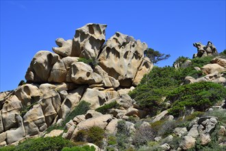 Bizarre rock formations