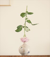 Still life with rose on ceramic vase