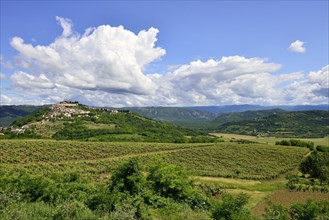 View across vineyards to the town with atmospheric clouds