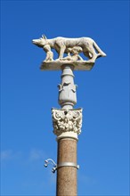 Pillar of the she-wolf with Romulus and Remus in front of the Duomo of Siena