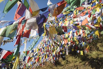 Tibetan prayer flags at the domicile of the Tibetan exile government