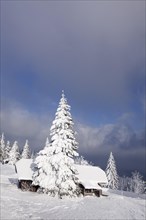 Snow-covered cabin on Kandel mountain