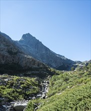 Restonica river flowing at its source through mountain valley