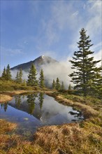 Mountain landscape in the spring