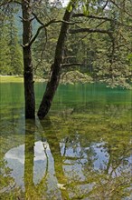 Gruner See or Green Lake