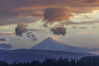 Puyehue volcano in the evening light